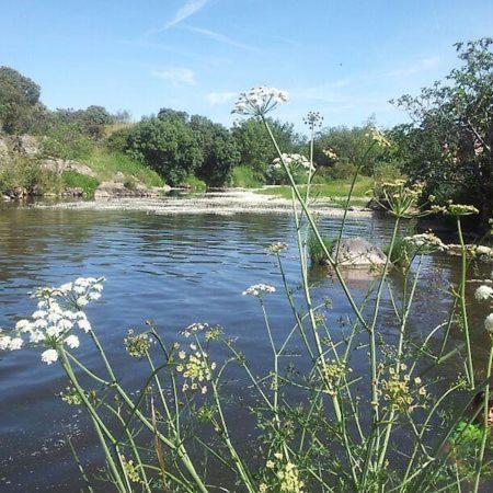 Casa Rural Y Espacio Para Eventos El Pantano Peñarroya-Pueblonuevo Buitenkant foto
