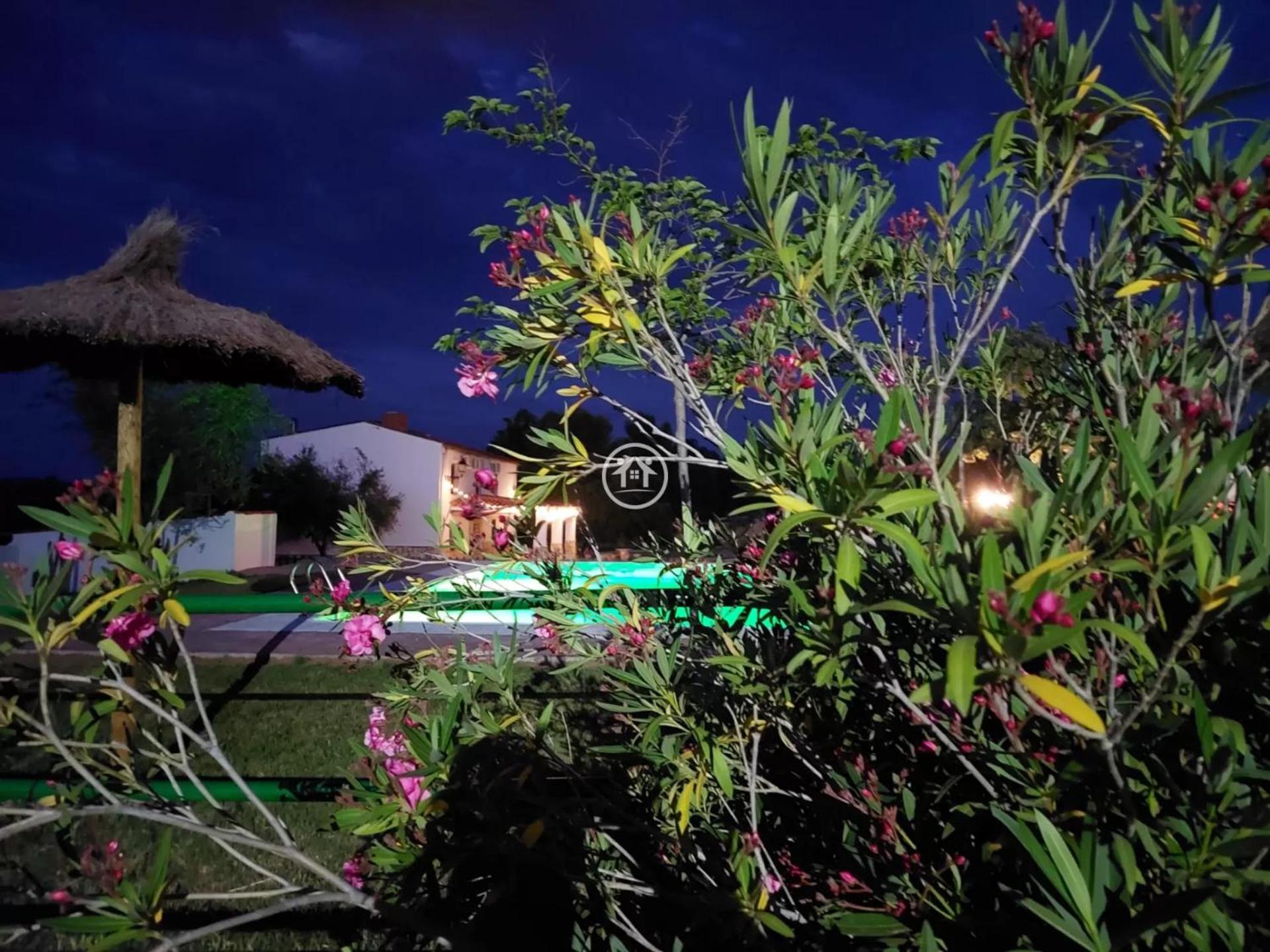 Casa Rural Y Espacio Para Eventos El Pantano Peñarroya-Pueblonuevo Buitenkant foto